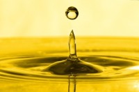 Mag(net)ic selling Trainer